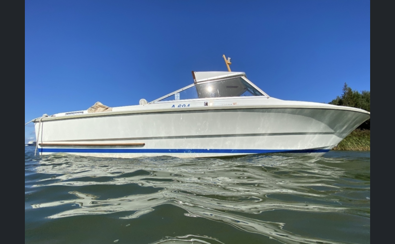 Fjord Wing 19-kuva-5